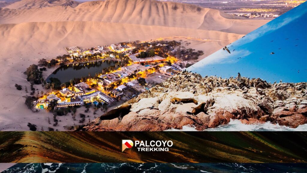 ica-paracas-full-day
